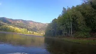 любимое место медведей