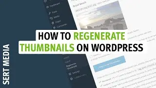 How To Regenerate Thumbnails On WordPress 2020 - Regenerate Thumbnails WordPress Tutorial 2020
