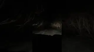 первая поездка в лес в этом году ❄️