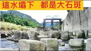 這水壩下都是大石斑 @急流與淺流漂釣 #溪釣 #鯨豚岩