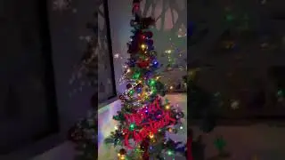 Holiday season is here! #shorts #shortvideo #christmas #holidayseason #endofyear