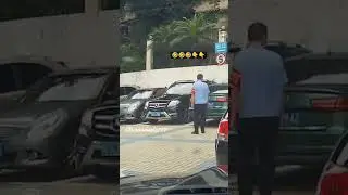 кот пытается на забор прыгнуть