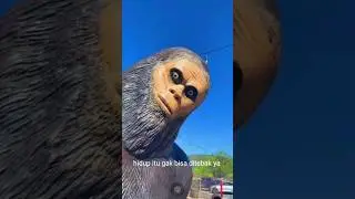 hidup gak bisa ditebak... #wargakita #memedakwah #memes #funny #videolucu