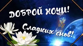 СПОКОЙНОЙ НОЧИ.  ДОБРЫХ СНОВ. СНЫ.