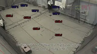 WiSwarm: Age-of-Information-based Wireless Networking for Collaborative Teams of UAVs