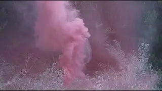Aluminé Guerrero & Yeahman - Verte (OFFICIAL MUSIC VIDEO)