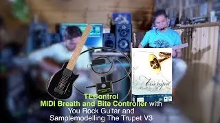 MIDI Guitar Part 5: TEControl MIDI Breath and Bite Controller