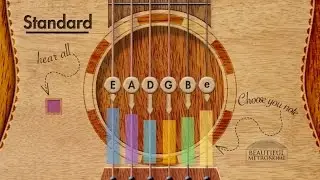 Acoustic Guitar Tuner | Standard E A D G B e