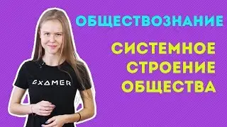 Системное строение общества. ЕГЭ по обществознанию. Экзамер
