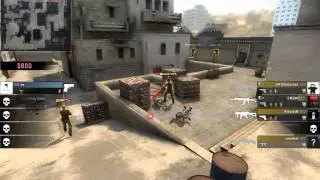 csgo goose ninja