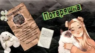 Переписка «Потеряшка» 11 Часть | Мультсериал Леди Баг 🐞