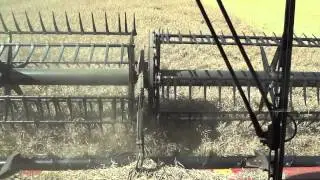 Harvest 2015. Case IH Axial Flow 9230.