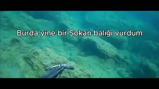 Zıpkınla Balık Avı (Sokan 2 Tane - Sargoz - Hatırlamadığım balık