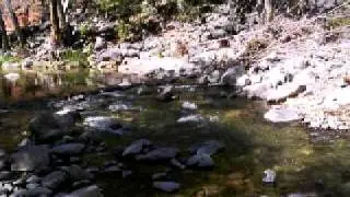 Oak Creek at Manzanita Campground