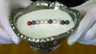 (Reveals 17316 -17328)