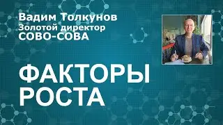 Фактор роста! Маркетинг в деталях 21 11 2023