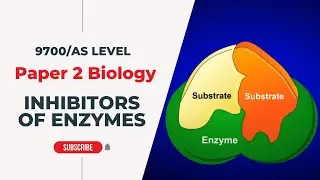 Inhibitors of Enzymes | AS Level - P2 | Biology with Dr Lakho