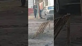 Мужик выбивает ковёр. Вилейка