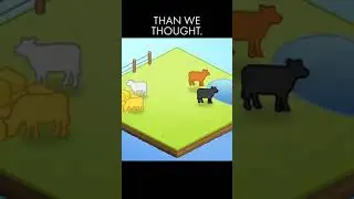 Beef is not as bad as we thought.🐄🌎