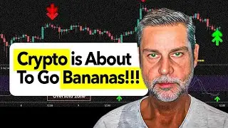 The Bitcoin Wave is Coming! Urgent Crypto Update From Raoul Pal