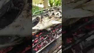 grill salmon