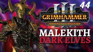 ORDINANCE: MONEY | SFO Immortal Empires - Total War: Warhammer 3 - Dark Elves - Malekith #44