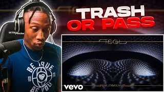 First REACTION to "Rock Music" Tool ( Pneuma )