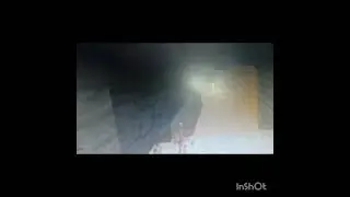 DayZCraft.