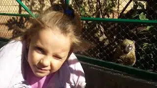 Miss Sonya в зоопарке