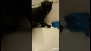 бедни