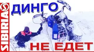 Динго НЕ ЕДЕТ. Динго Т150 по глубокому снегу с настом. Ирбис динго т150 проходимость