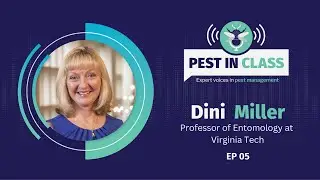 How Field Research Impacts the Pest Control Industry