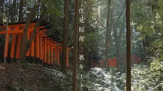 伏見稲荷大社の裏ルート : Deep Dive Into Fushimi Inari-taisha Shrine（Kyoto, Japan）