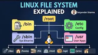 The Linux File System 
