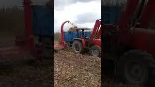 same tiger 75 ile mısır sapı talaşı silajı fimaks double chop