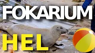 Fokarium | Hel
