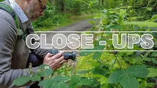 Van Sukkelen naar Succes: Bos Close-Ups Ontdekken door Anders te Gaan Kijken...