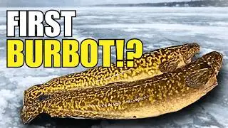 First Time Catching This Weird Fish…
