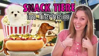 Von Kiwi bis Popcorn: Die verrücktesten Tiernamen in Animal Shelter! 😸🍔 Folge 29
