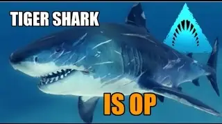 Depth - Tiger Shark OP!