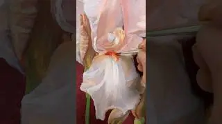 Painting an Iris Flower using Acrylic on Paper 