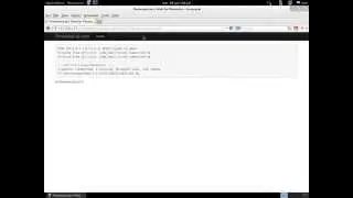 Command injection examples from pentesterlab.com