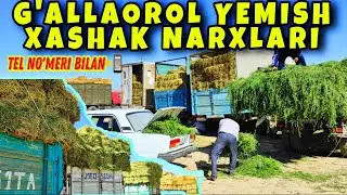 G'ALLAOROL YEMISH XASHAK NARXLARI TEL NO'MERI BILAN 📲.