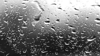 Liquid Vibes