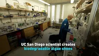 UC San Diego scientist creates biodegradable algae shoes