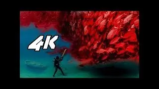 4K video ultrahd Skyworth Microscopic Beauty UHD for 4k oled tv