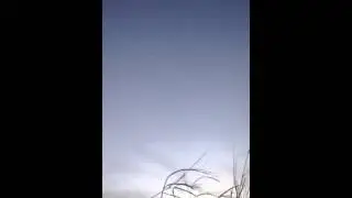 South central ks duck hunt