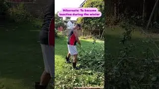 Learn English While Gardening!