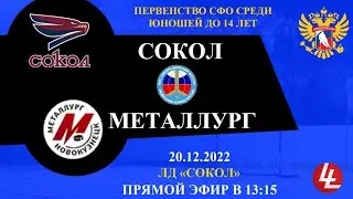 Сокол - Металлург. 2009. 20.12.2022.