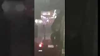 Из Толмачёво в обсервацию